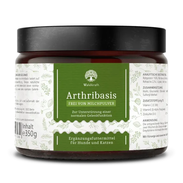 Arthribasis Mockup 1