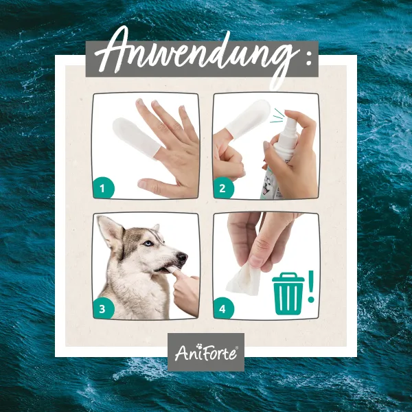 Bundle Fingerpads Dentalspray Anwendungsbild 1200x1200px 3000x