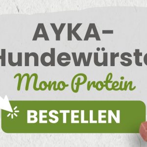 Header Ayka Hundewuerste