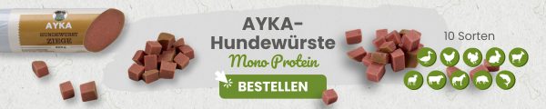 Header Ayka Hundewuerste