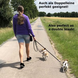 Ideale Länge für zwei Hunde 800x800