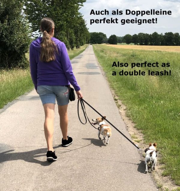 Ideale Länge für zwei Hunde 800x800