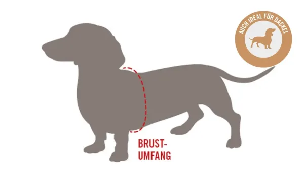 Wolters Masse Brustumfang Dackel