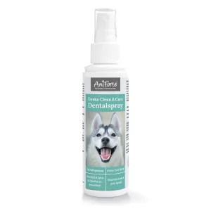 denta clean care dentalspray 630617 3000x 1