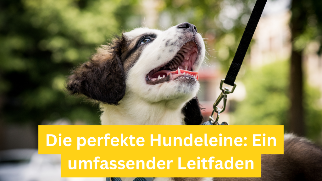 Die perfekte Hundeleine Ein umfassender Leitfaden