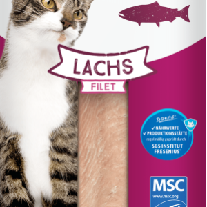 Katze Lachsfilet