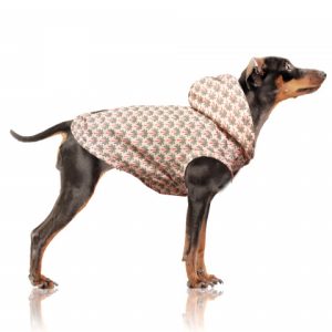 paloma dog raincoat (2)