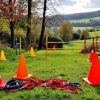 Hundetraining-Ausrüstung in Neunkirchen am Brand.