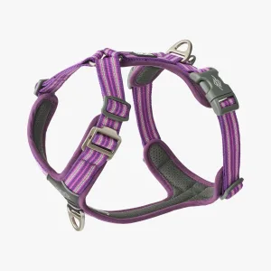 comfort walk air harness purple passion