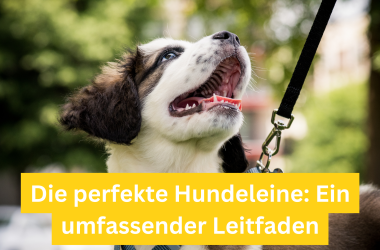 Die perfekte Hundeleine Ein umfassender Leitfaden